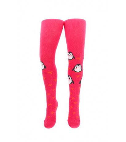 Gatta cotton socks for kids