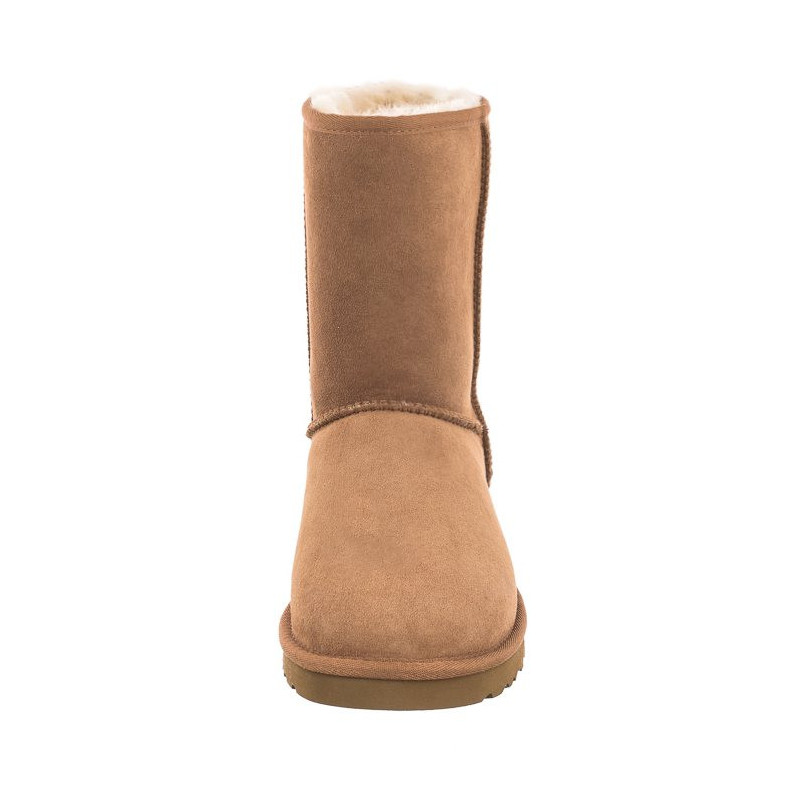 UGG M Classic Short Chestnut 5800M/CHE (UA5-b) boots