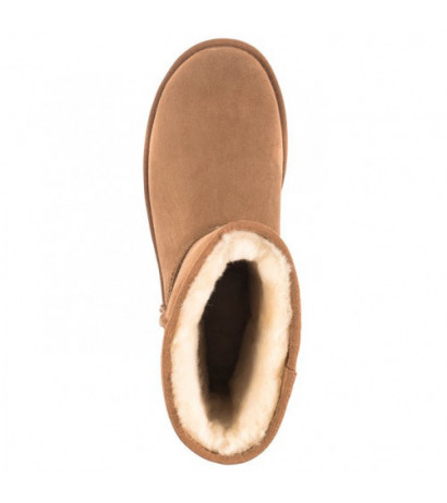 UGG M Classic Short Chestnut 5800M/CHE (UA5-b) boots