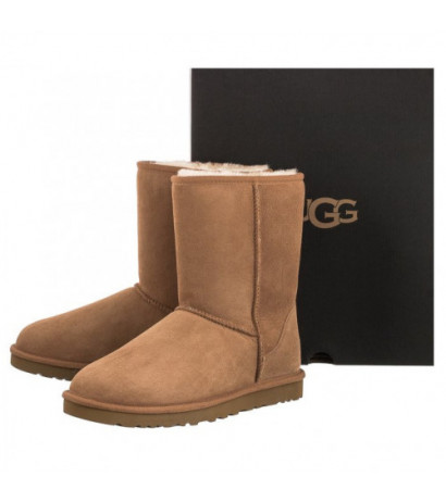 UGG M Classic Short Chestnut 5800M/CHE (UA5-b) boots