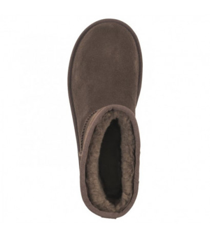 UGG W Classic Mini Platform 1134991 BCDR (UA73-c) batai