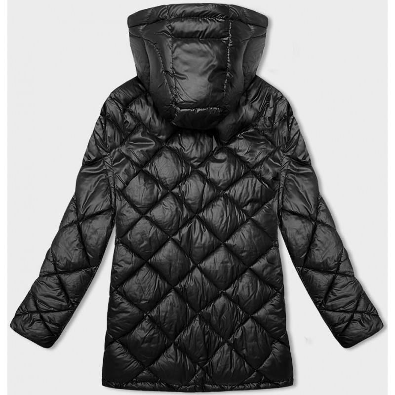 WINTER JACKET WITH MEMBRANE MINT (W182) striukė