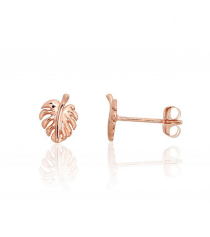 Gold classic studs earrings...