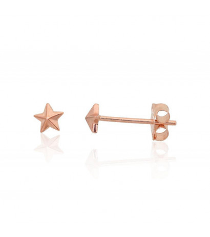 Gold classic studs earrings...