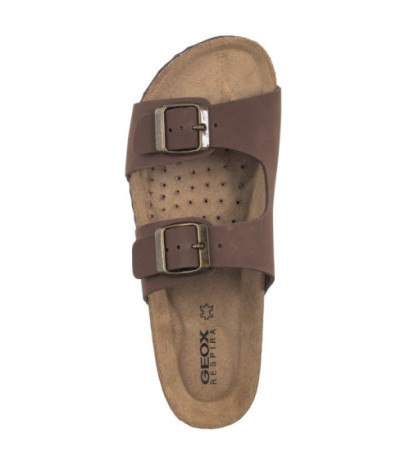 Geox D Brionia L Cofee D35LSL 00032 C6009 (GE175-a) Sieviešu apavi/Flip Flops