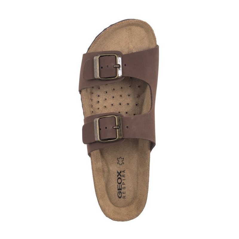 Geox D Brionia L Cofee D35LSL 00032 C6009 (GE175-a) Sieviešu apavi/Flip Flops