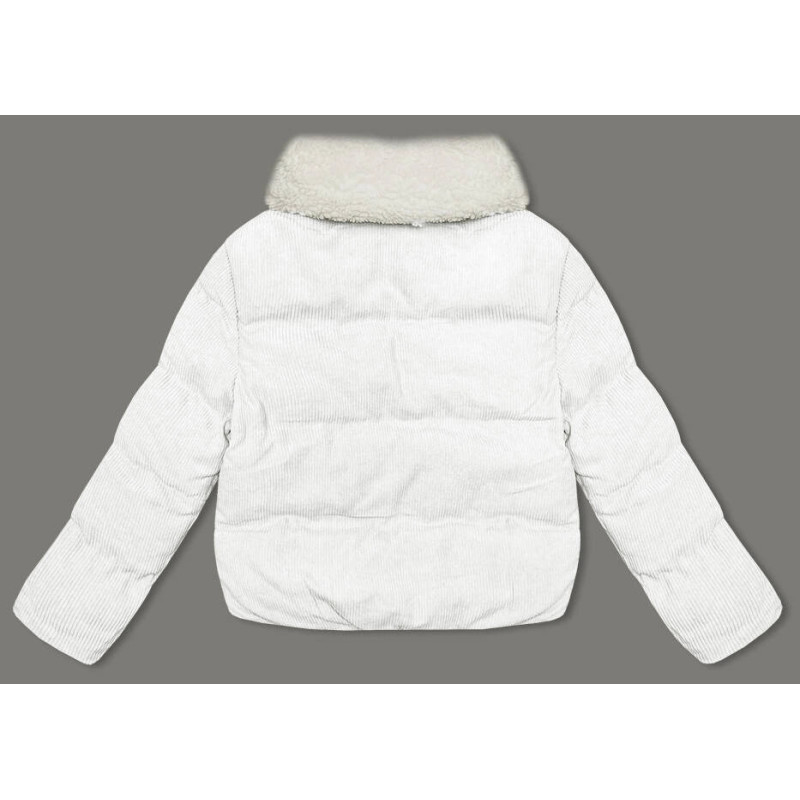 WINTER JACKET WITH MEMBRANE MINT (W182) striukė