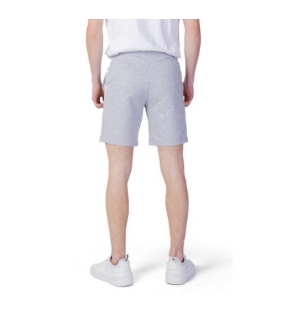 Le Coq Sportif Shorts 2310354 Grey