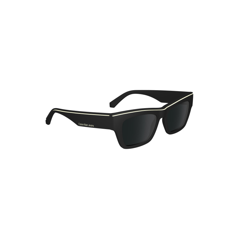 Calvin klein sunglasses CKJ24602S Black