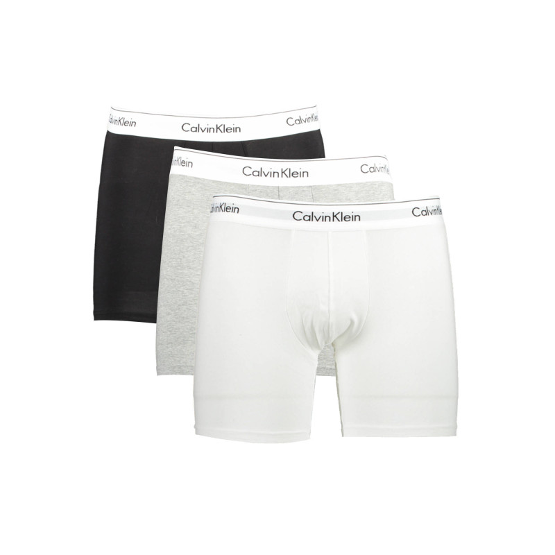 Calvin klein aluspesu 000NB2381A Hall