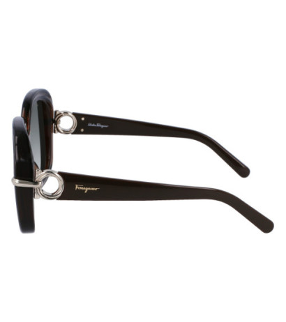 Ferragamo sunglasses SF1058S-232