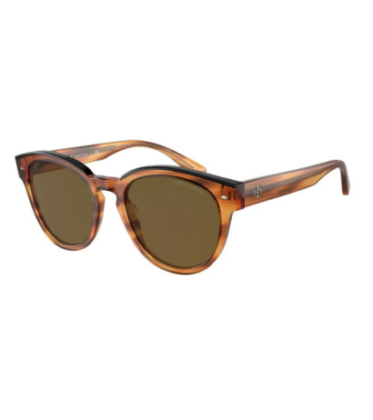 Giorgio armani sunglasses AR8164F592173