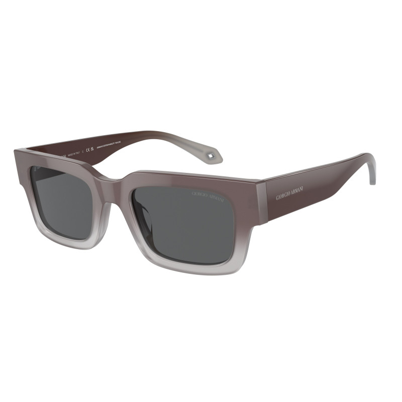 Giorgio armani saulesbrilles AR8184U5980B1