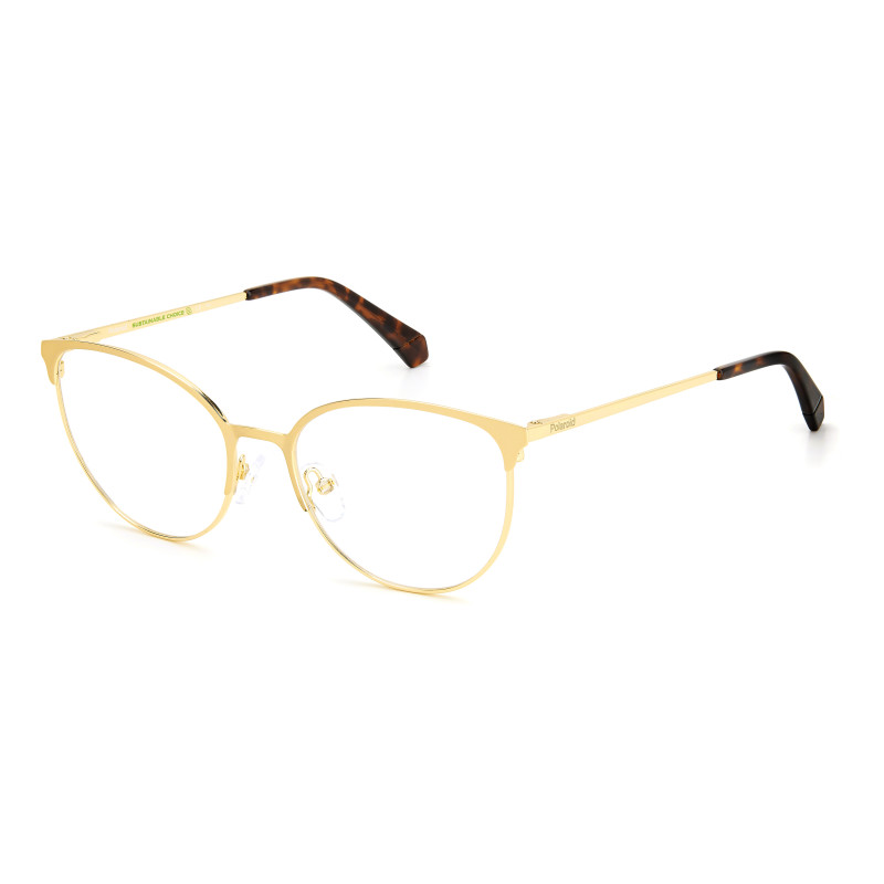 Polaroid glasses PLD-D443-J5G