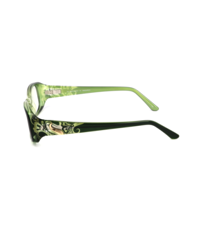 Pucci glasses EP2660313