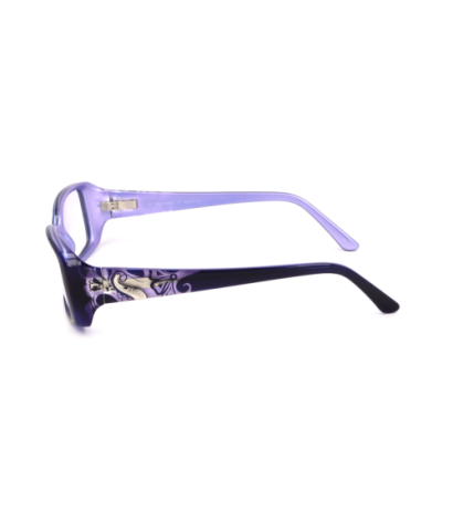 Pucci glasses EP2661514