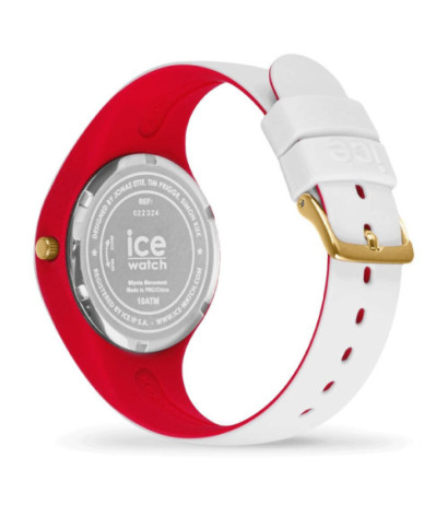 Ice watch 022324