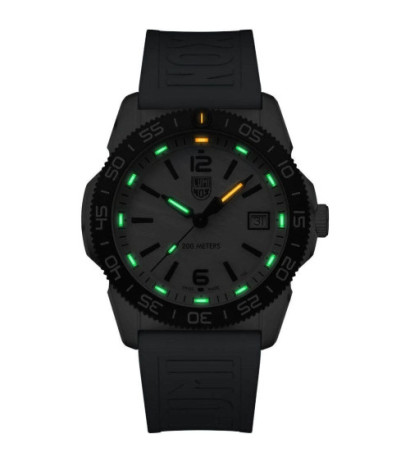 Luminox vaata XS.3124M