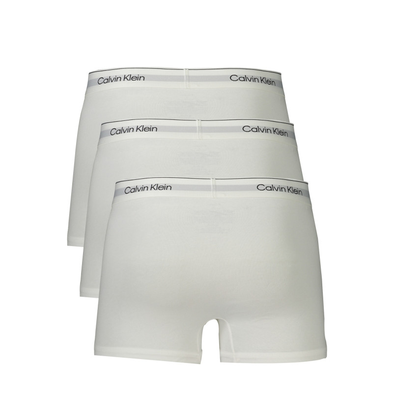 Calvin klein aluspesu 000NB3963A Valge